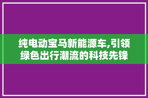 纯电动宝马新能源车,引领绿色出行潮流的科技先锋