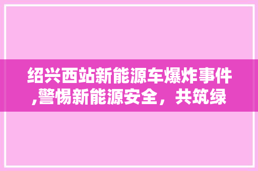 绍兴西站新能源车爆炸事件,警惕新能源安全，共筑绿色出行未来
