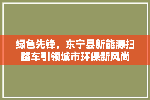 绿色先锋，东宁县新能源扫路车引领城市环保新风尚