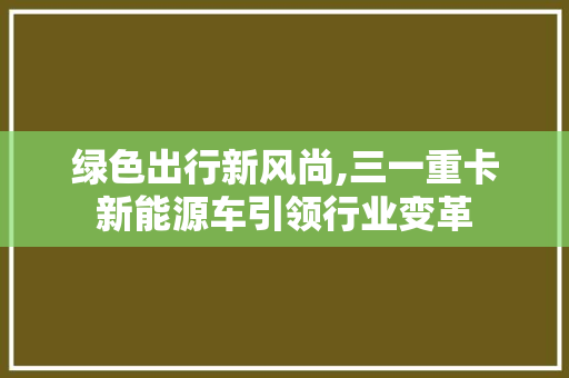 绿色出行新风尚,三一重卡新能源车引领行业变革