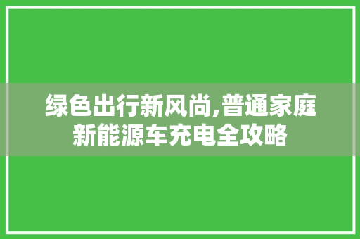 绿色出行新风尚,普通家庭新能源车充电全攻略
