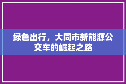 绿色出行，大同市新能源公交车的崛起之路