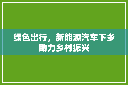 绿色出行，新能源汽车下乡助力乡村振兴