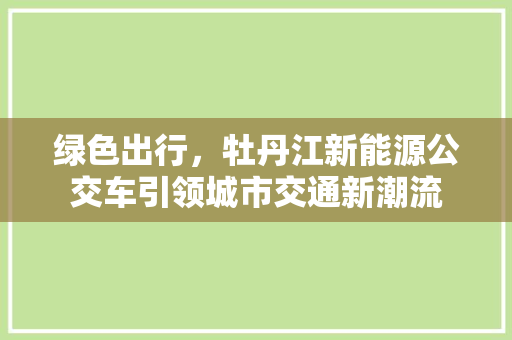 绿色出行，牡丹江新能源公交车引领城市交通新潮流