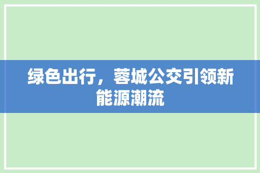 绿色出行，蓉城公交引领新能源潮流