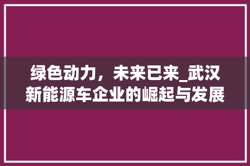 绿色动力，未来已来_武汉新能源车企业的崛起与发展