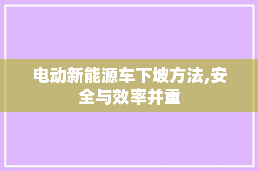 电动新能源车下坡方法,安全与效率并重