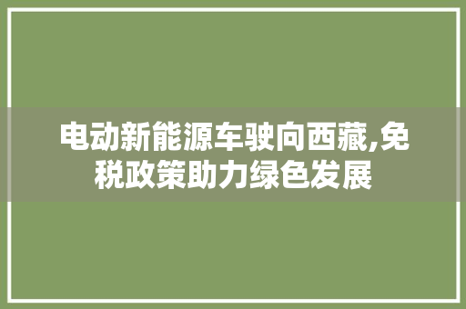 电动新能源车驶向西藏,免税政策助力绿色发展