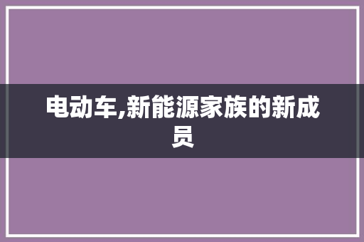 电动车,新能源家族的新成员