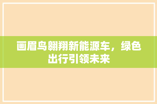 画眉鸟翱翔新能源车，绿色出行引领未来