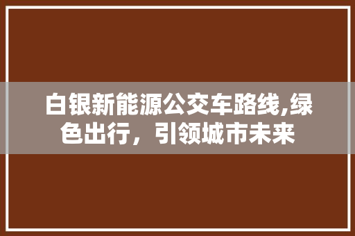 白银新能源公交车路线,绿色出行，引领城市未来