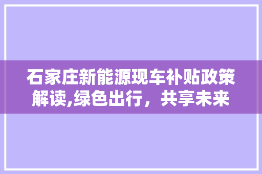 石家庄新能源现车补贴政策解读,绿色出行，共享未来