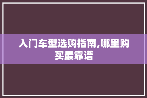 入门车型选购指南,哪里购买最靠谱