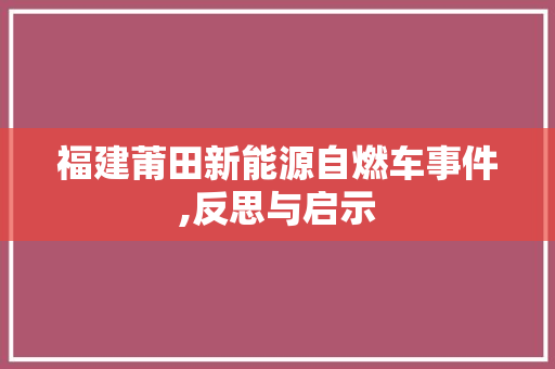 福建莆田新能源自燃车事件,反思与启示