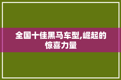 全国十佳黑马车型,崛起的惊喜力量
