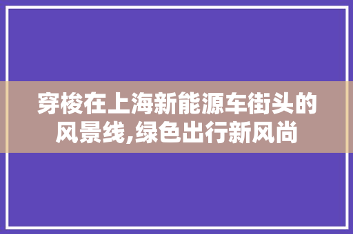 穿梭在上海新能源车街头的风景线,绿色出行新风尚