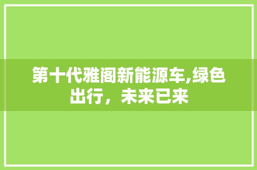 第十代雅阁新能源车,绿色出行，未来已来