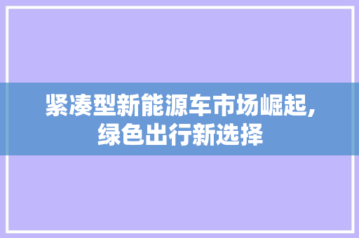 紧凑型新能源车市场崛起,绿色出行新选择