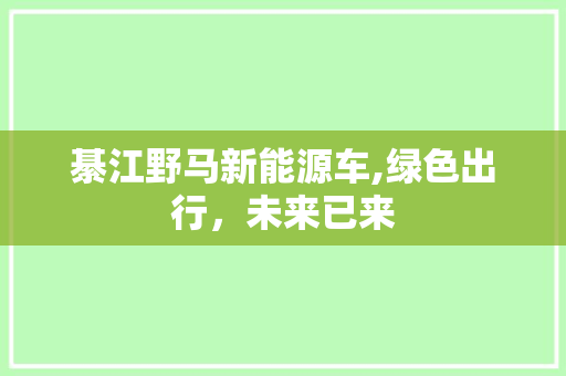 綦江野马新能源车,绿色出行，未来已来