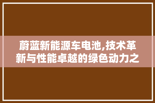 蔚蓝新能源车电池,技术革新与性能卓越的绿色动力之源