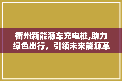 衢州新能源车充电桩,助力绿色出行，引领未来能源革命