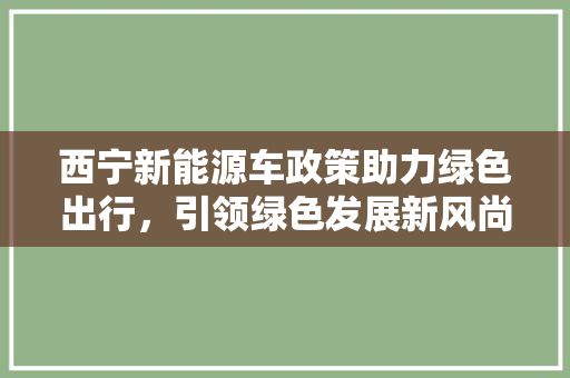 西宁新能源车政策助力绿色出行，引领绿色发展新风尚