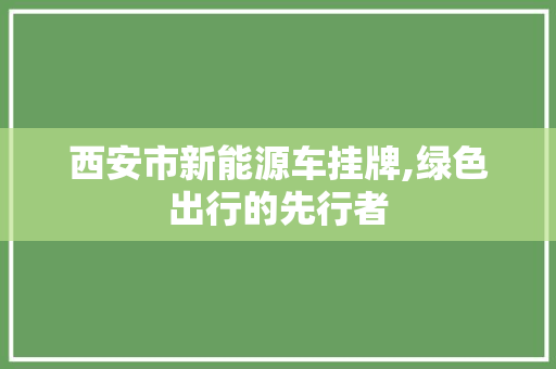 西安市新能源车挂牌,绿色出行的先行者