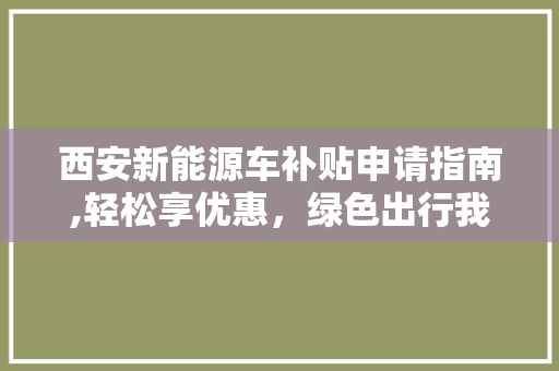 西安新能源车补贴申请指南,轻松享优惠，绿色出行我先行