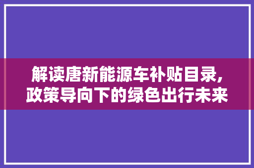 解读唐新能源车补贴目录,政策导向下的绿色出行未来