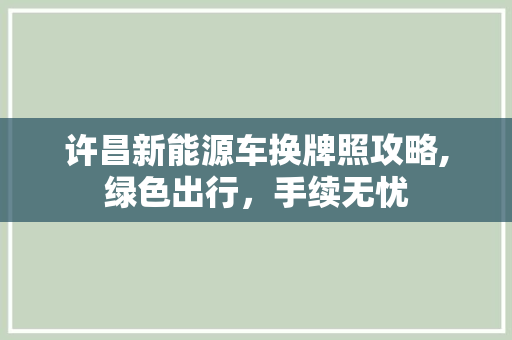 许昌新能源车换牌照攻略,绿色出行，手续无忧