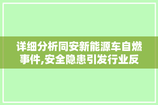 详细分析同安新能源车自燃事件,安全隐患引发行业反思