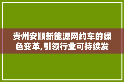 贵州安顺新能源网约车的绿色变革,引领行业可持续发展新潮流