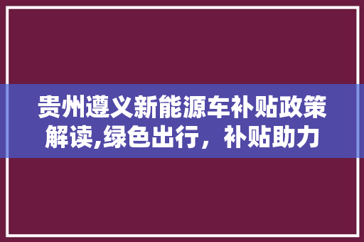 贵州遵义新能源车补贴政策解读,绿色出行，补贴助力
