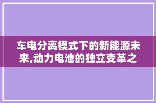 车电分离模式下的新能源未来,动力电池的独立变革之路