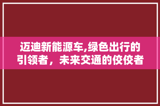迈迪新能源车,绿色出行的引领者，未来交通的佼佼者