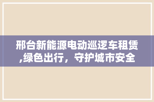 邢台新能源电动巡逻车租赁,绿色出行，守护城市安全