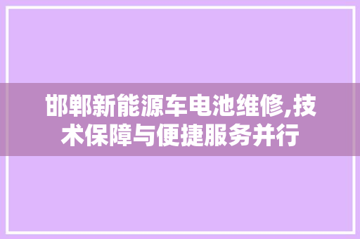 邯郸新能源车电池维修,技术保障与便捷服务并行