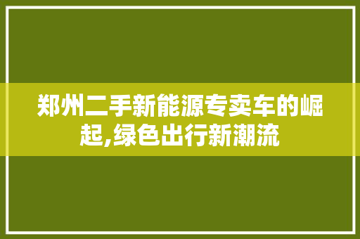 郑州二手新能源专卖车的崛起,绿色出行新潮流