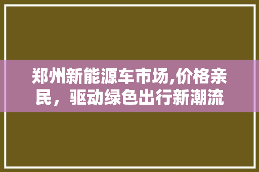 郑州新能源车市场,价格亲民，驱动绿色出行新潮流