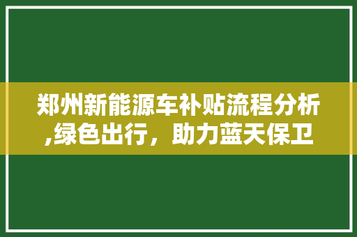 郑州新能源车补贴流程分析,绿色出行，助力蓝天保卫战