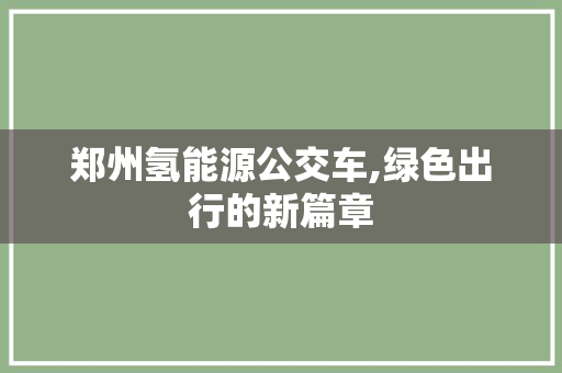 郑州氢能源公交车,绿色出行的新篇章