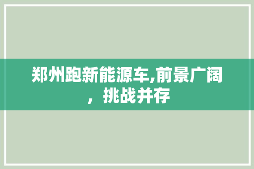郑州跑新能源车,前景广阔，挑战并存