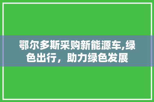 鄂尔多斯采购新能源车,绿色出行，助力绿色发展