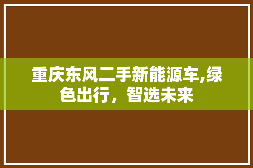 重庆东风二手新能源车,绿色出行，智选未来