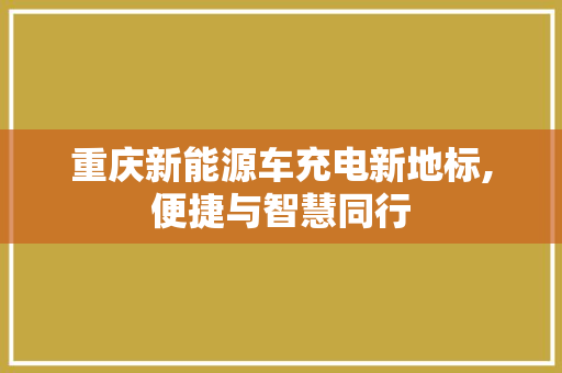 重庆新能源车充电新地标,便捷与智慧同行