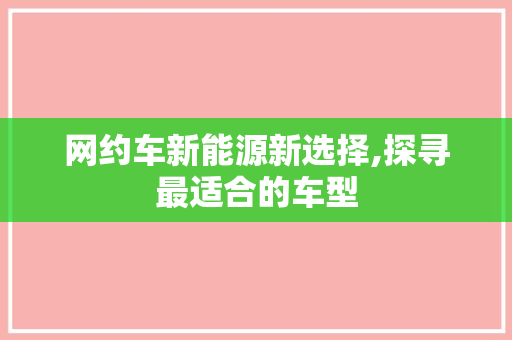 网约车新能源新选择,探寻最适合的车型