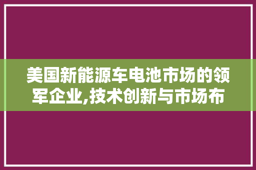 美国新能源车电池市场的领军企业,技术创新与市场布局并重