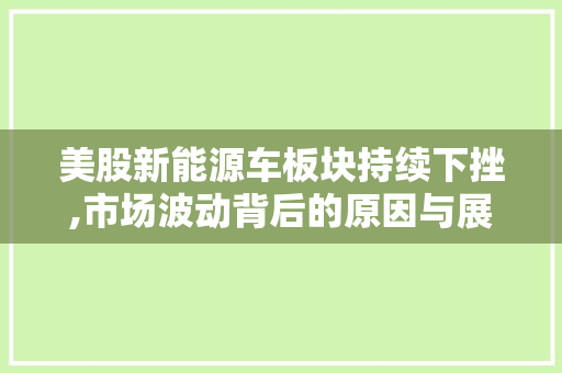 美股新能源车板块持续下挫,市场波动背后的原因与展望