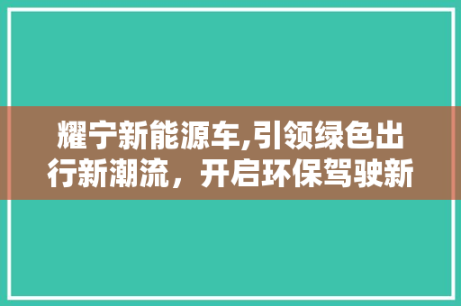 耀宁新能源车,引领绿色出行新潮流，开启环保驾驶新时代
