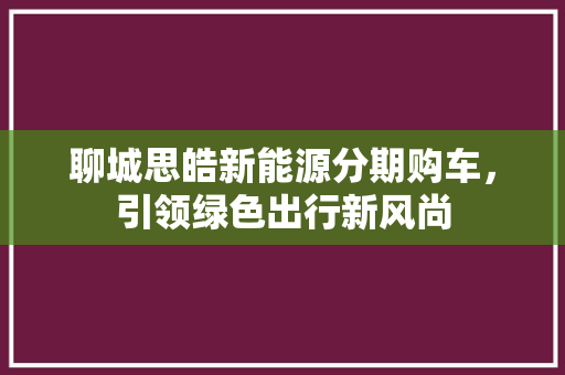 聊城思皓新能源分期购车，引领绿色出行新风尚